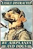Fácilmente distraído por aviones y perros Piloto Perro Airp Letrero de metal 8X12 pulgadas | Letreros de aluminio, decoración de pared ideal para sala, cuarto de bebé, dormitorio de niños, sala de juegos y entrada, regalo para amantes de mascotas 1
