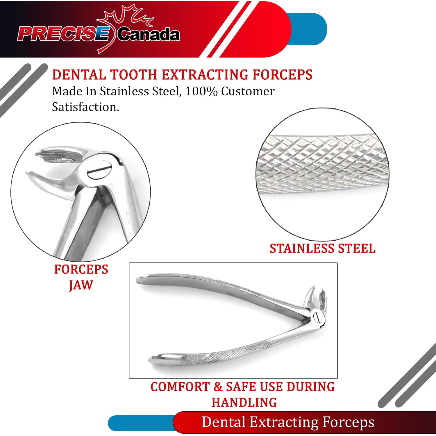 PC EXTRACTING Forceps #24 English Pattern Dental Instruments
