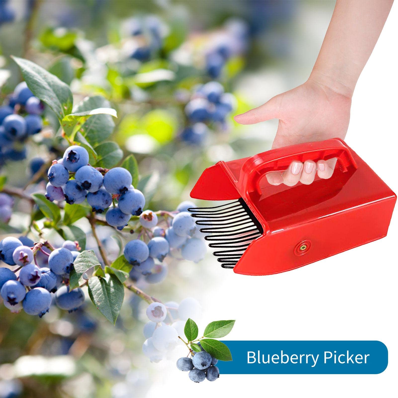 Cueilleur à Baies Avec Peigne Métal - Outil Ergonomique Pour Myrtilles, Framboises, Récolte Rapide