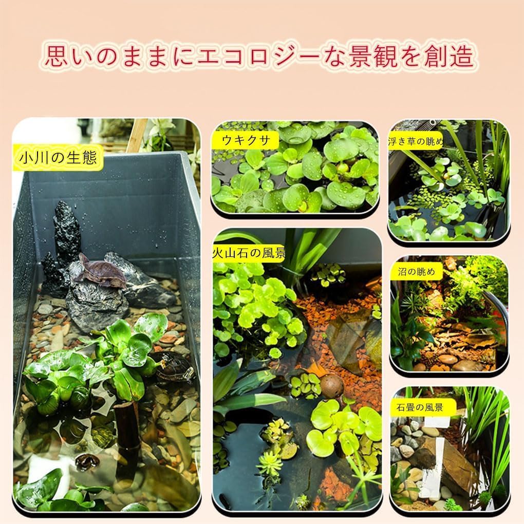 Boxwater 亀の飼育ケージ 両生飼育箱 リクガメ 景観 DIY 飼育ケース