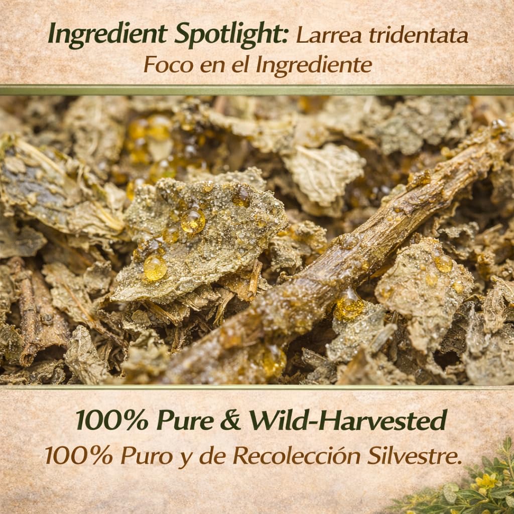 Gobernadora Tea (Chaparral Leaf) 4 oz with Stainless Steel Tea Infuser – 100% Natural Larrea tridentata – Traditional Desert Herb for Wellness – Wildcrafted, Caffeine-Free, Vegan – Authentic by BEXPERTSUSA - Image 7