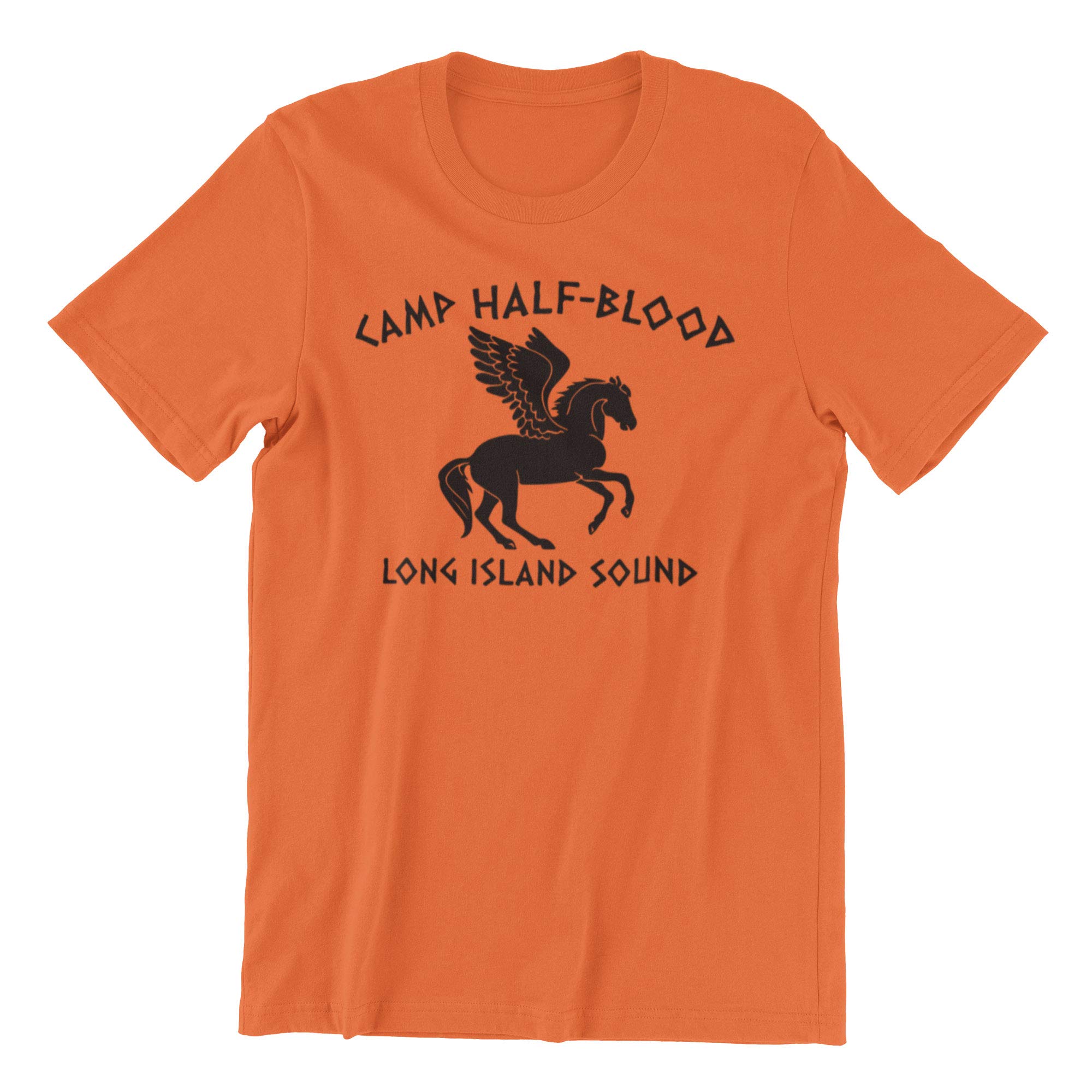 NexGen World Book Day Children's Camp Half Blood Costume T-Shirt -World Book Day Children's Books