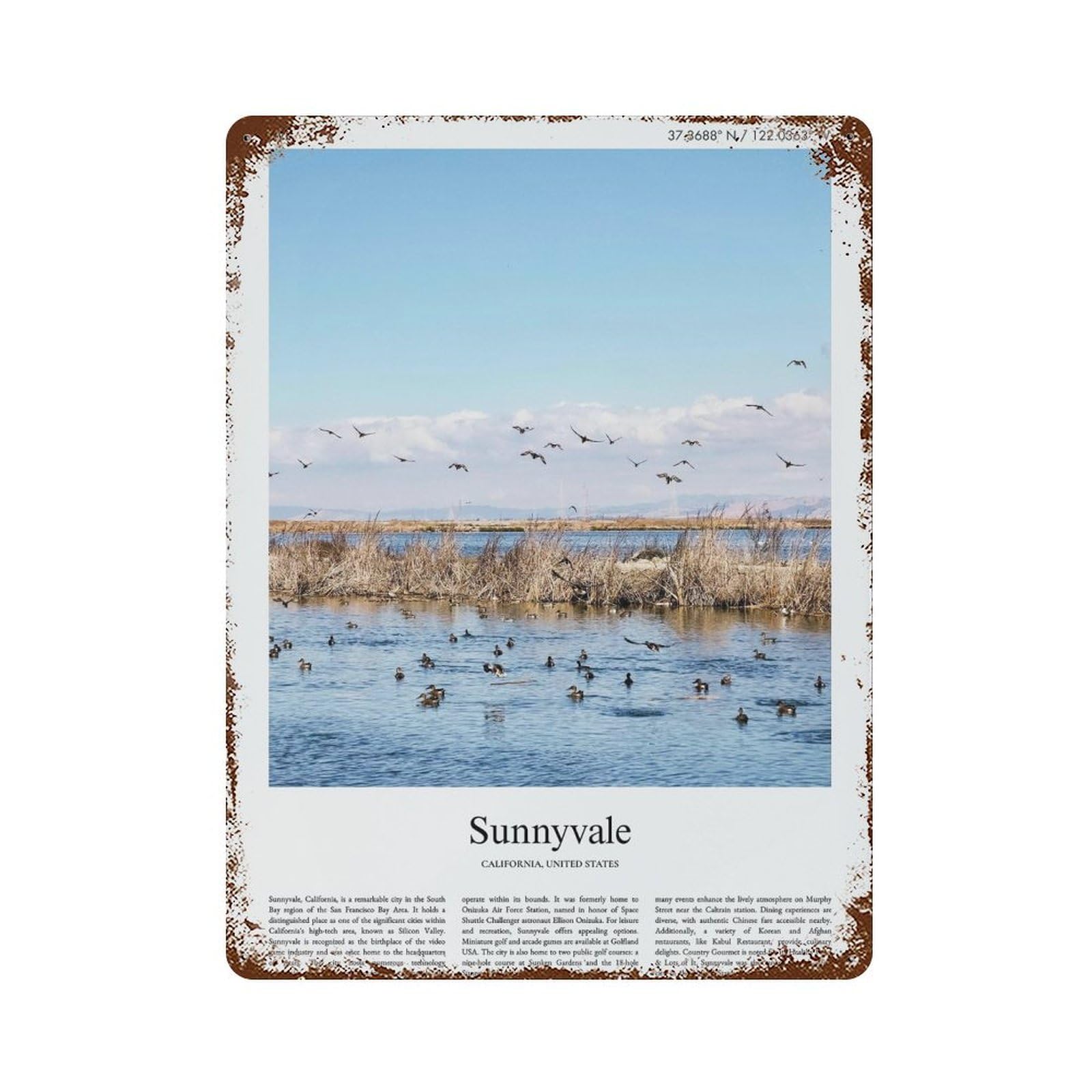 xiaoxiaoshen Sunnyvale California, United States, USA City Scenery Wall Decor Art Metal Tin Poster Modern Home Decor Art Home Bar Shop Decorations Vintage Sign 40x30cm