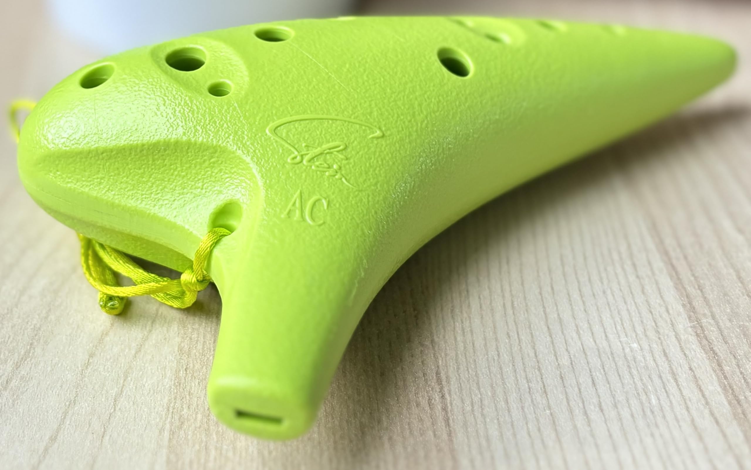 Amazon.com: Focalink 12 Holes Alto C ABS Resin (Sturdy & Durable