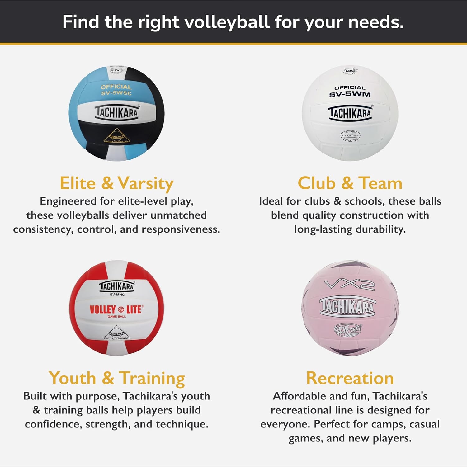 Tachikara Full Grain Leather Volleyball