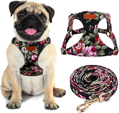 CHEDE No Pull Floral Pattern Dog Harness - Lightweight and Soft, Adjustable Small Dog Harness Set with Leash, Suitable for Puppy to Medium-Sized Dog