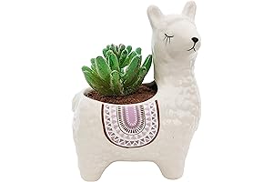 Adorable Alpaca Succulent Pots