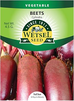 SeedTM Beet Cylindra Seed, 4.5g Packet, 10-Pack