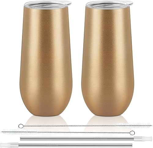Lifecapido Paquete de 2 vasos de champán sin tallo, copas de champán aisladas de 12 onzas con tapa, vaso de champán aislado, gran regalo para fiesta