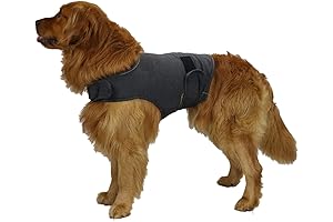 Breathable Dog Shirt for Thunder Dog Jacket