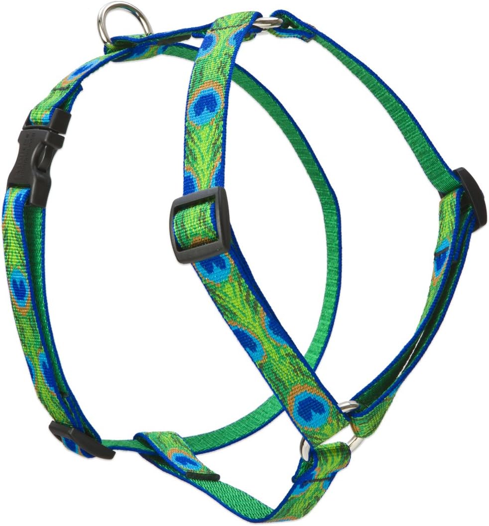 LupinePet Originals 3/4" Tail Feathers 20-32" Adjustable Roman Dog Harness for Medium Dogs