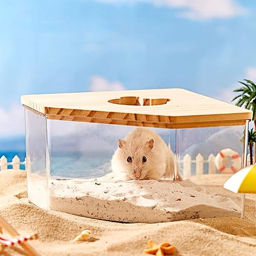 Miniatura 6 de DR.DUDU Arena de baño para hámster, 2.8 libras, libre de polvo, arena del desierto o arena para orinal para hámster, chinchillas, jerbos, ratones