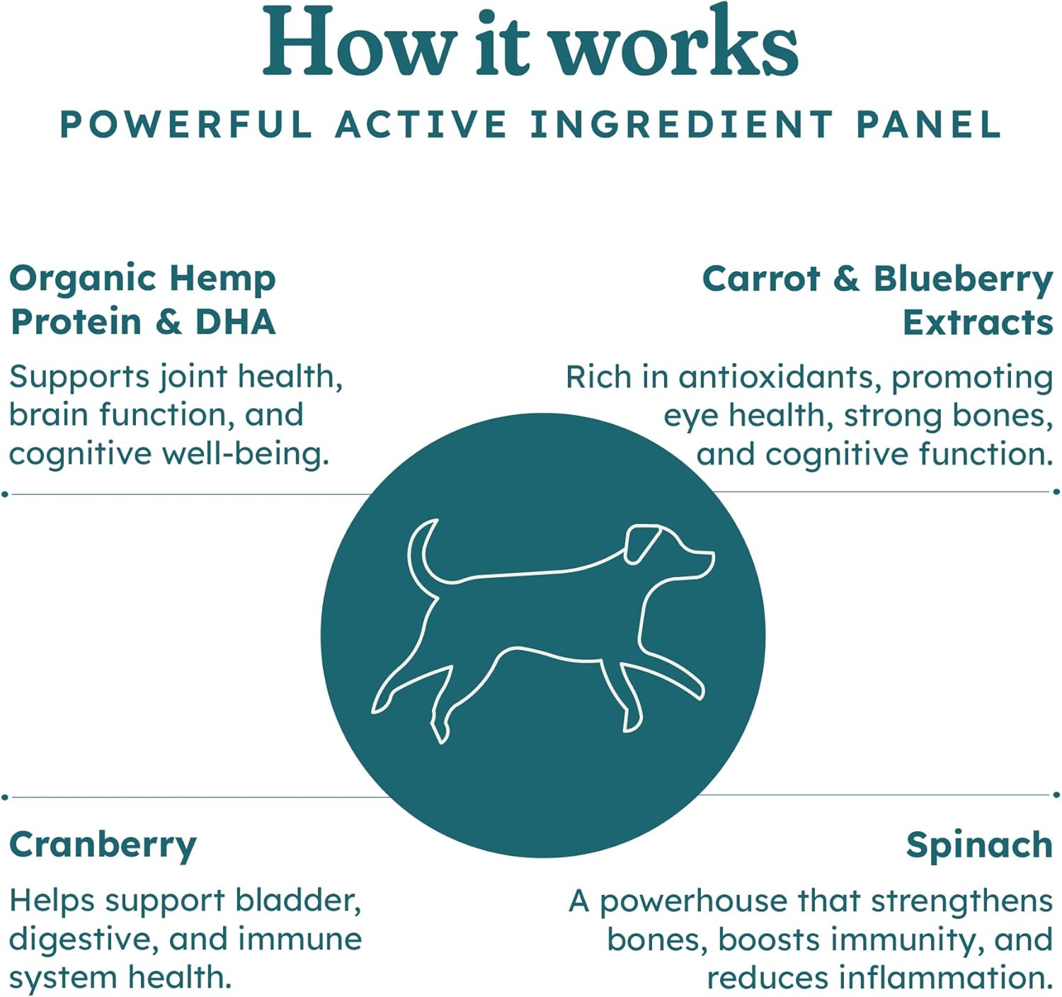 PetHeal Aging Aid Chews for Senior Dogs - Vet-Reviewed - Supports Joints, Energy & Vision with Hemp, DHA, Blueberry & Spinach | Fights Inflammation & Promotes Vitality | 30 Pork-Flavored Soft Chews