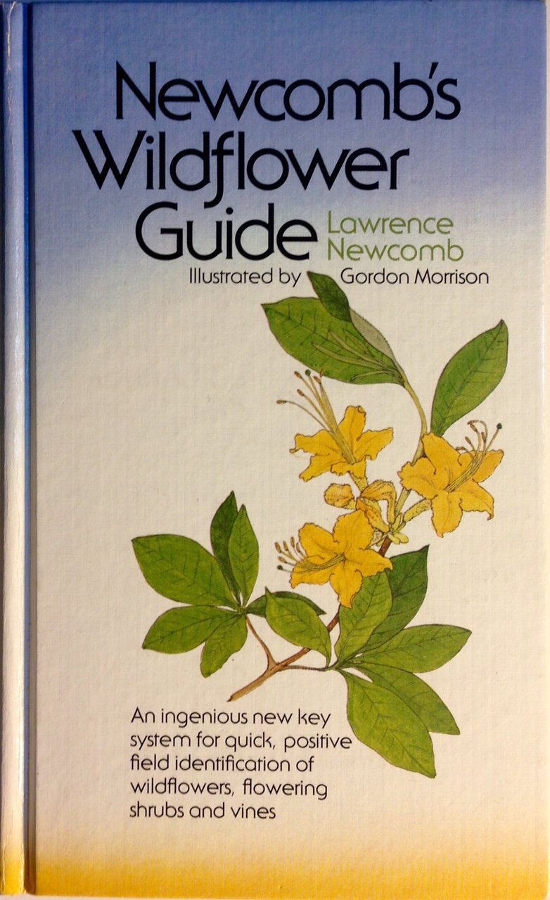 Buy Newcomb's Wildflower Guide: An Ingenious New Key System for Quick, Positive Field ...
