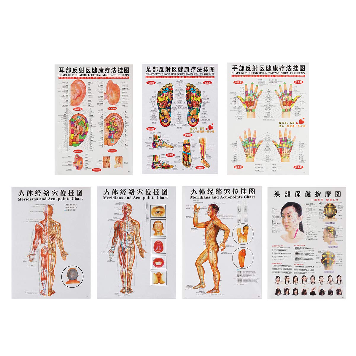 Buy DyNamic 7Pcs/Set Human Acupoint Map English Acupuncture Meridian