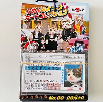 なめ猫カード 価格交渉受付中 Amazon.co.jp: なめんなよ カードコレクション2 なめ猫 4束
