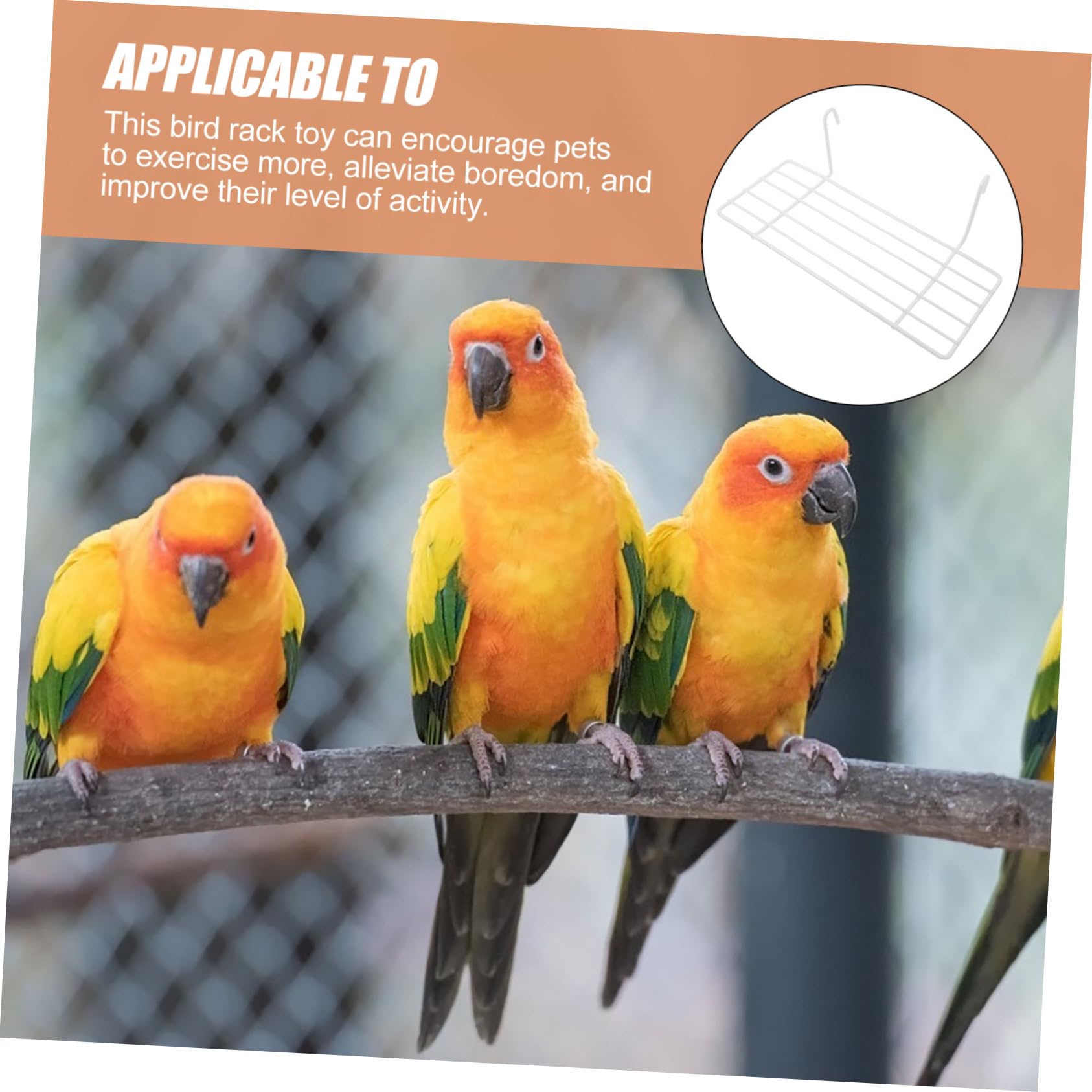 SUPVOX 2Pcs Wire Photo Wall Tray for Bird Cage Stylish Hanging Platform with Wall Accessories Bird Supply for Parakeets and Cockatiels