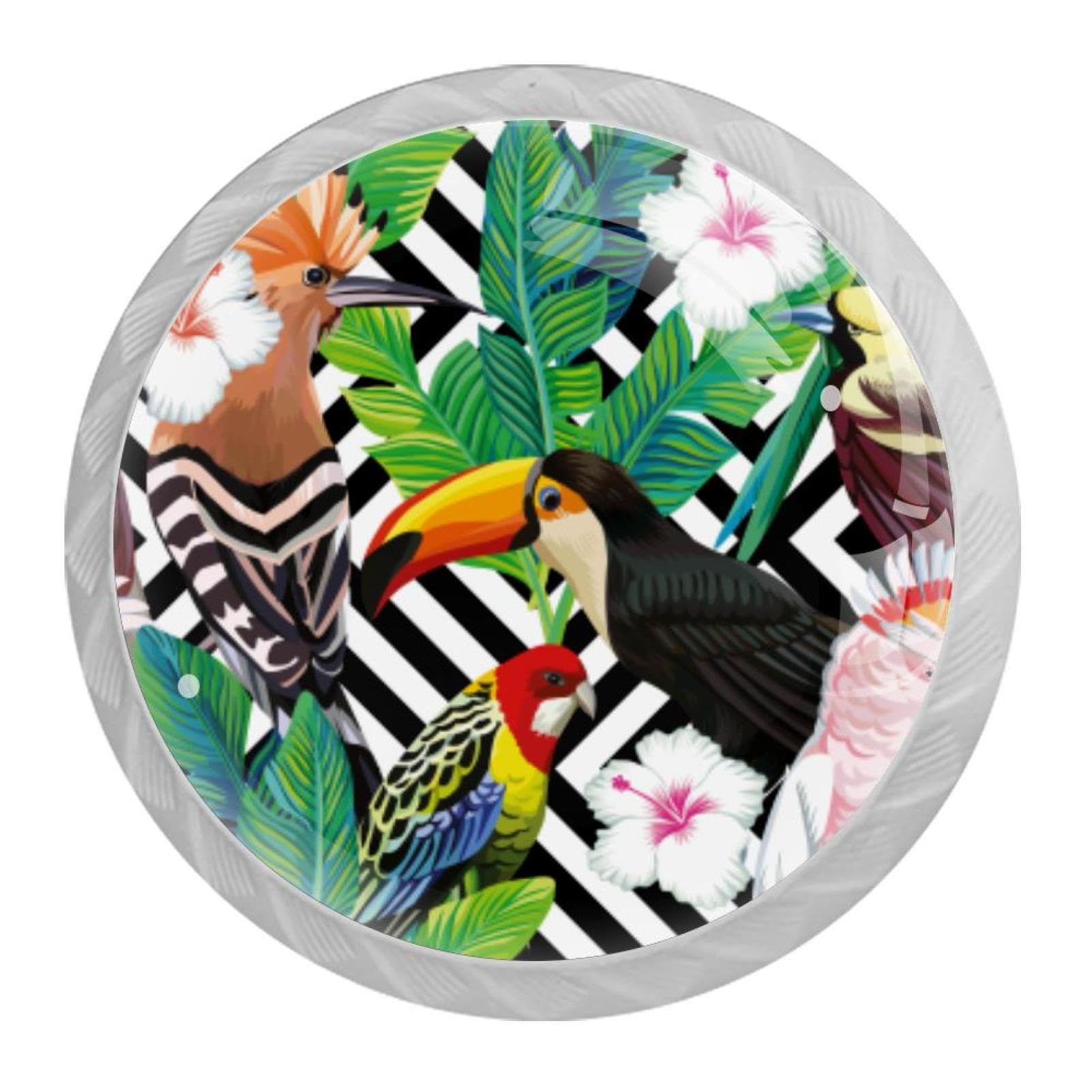 Tqmspg 4 Pieces Drawer Pulls Tropical Birds Parrot Door Knobs Dresser Handles for Kitchen Wardrobe Cupboard Hardware Furniture