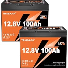 12V 100Ah LiFePO4 Lithium Battery BIC Group 31 with 100A BMS 1.28kWh