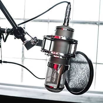 配信機器・PA機器・レコーディング機器 Lauten Audio LT-386-Eden Lauten Audio LT-386 Eden Multi-Pattern Tube Condenser