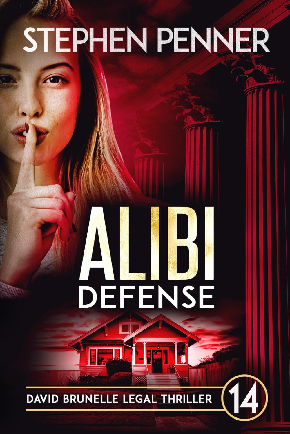 Alibi Defense: (David Brunelle Legal Thriller Series Book 14)