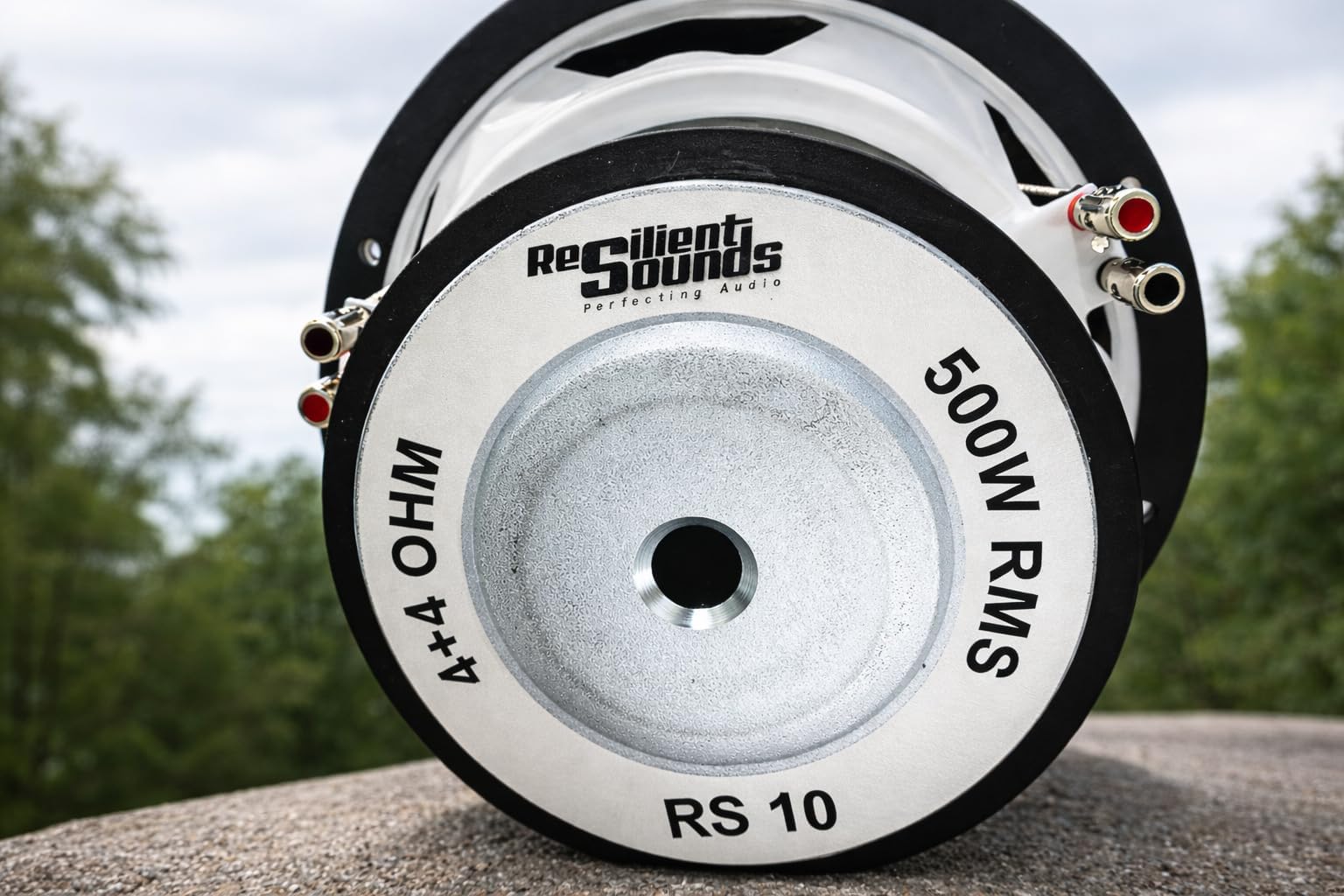 Resilient Sounds RS 10 (Dual 4 Ohm)
