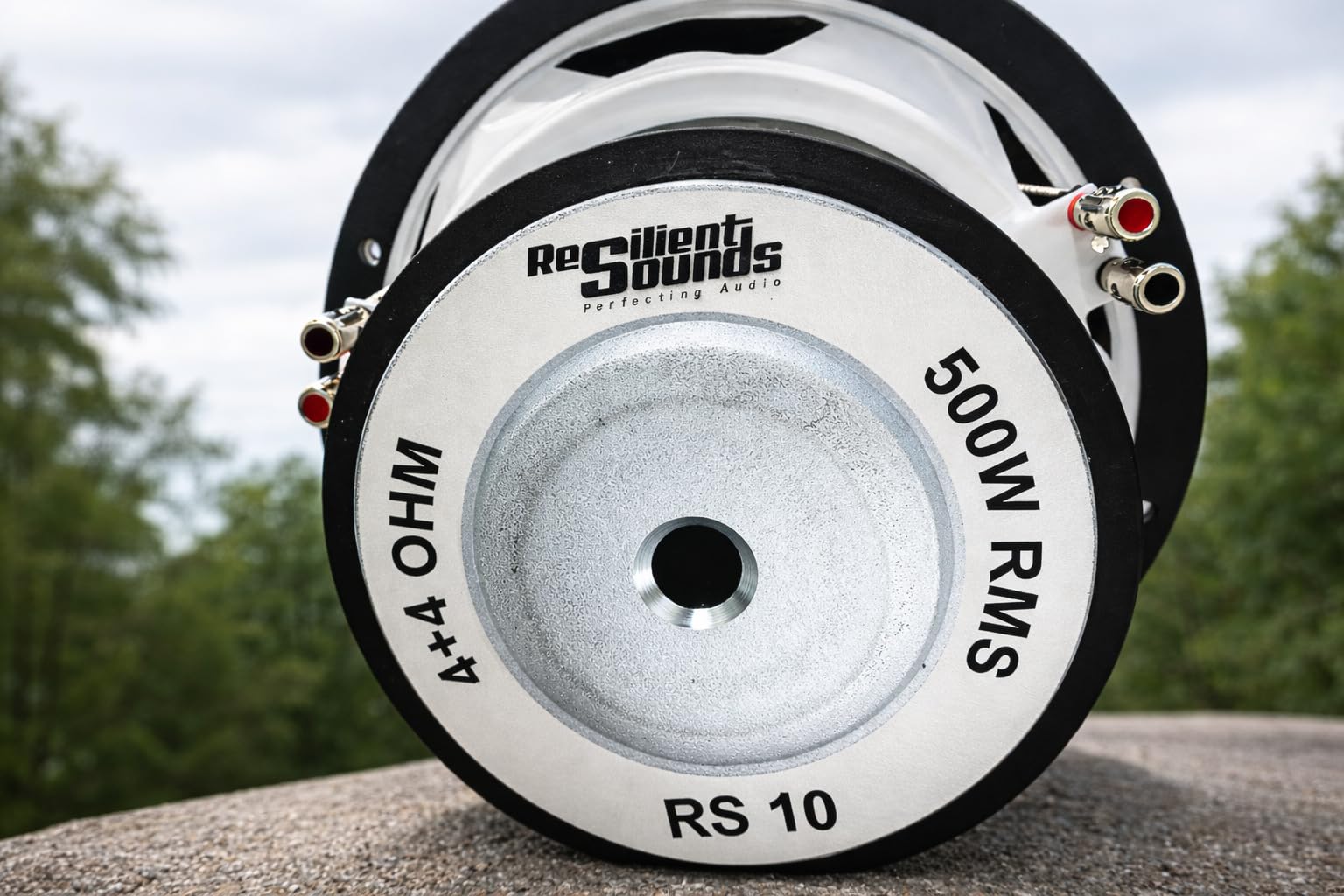 Resilient Sounds RS 10 (Dual 4 Ohm)