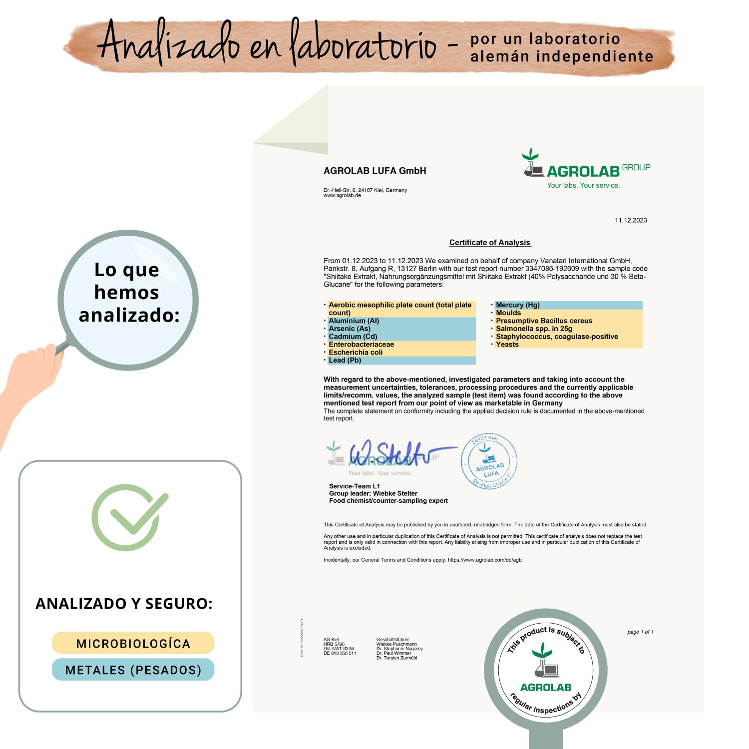 Shiitake Vegavero | 11150 mg | 40% Polisacáridos + 30% Betaglucanos | SIN ADDITIVOS | Sistema Inmunitario + Estrés + Ansiedad | Ayurveda | 120 Cápsulas | Vegano