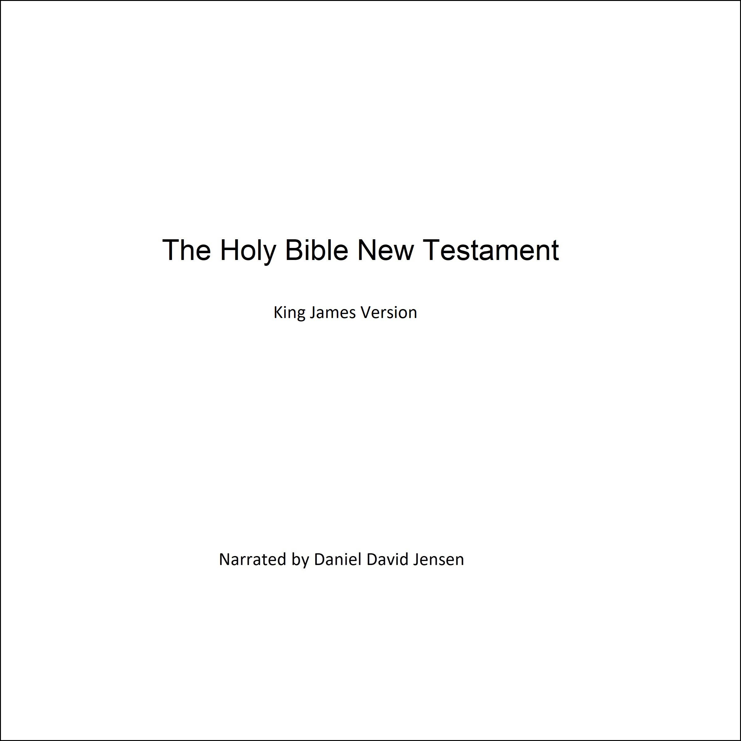 The Holy Bible New Testament