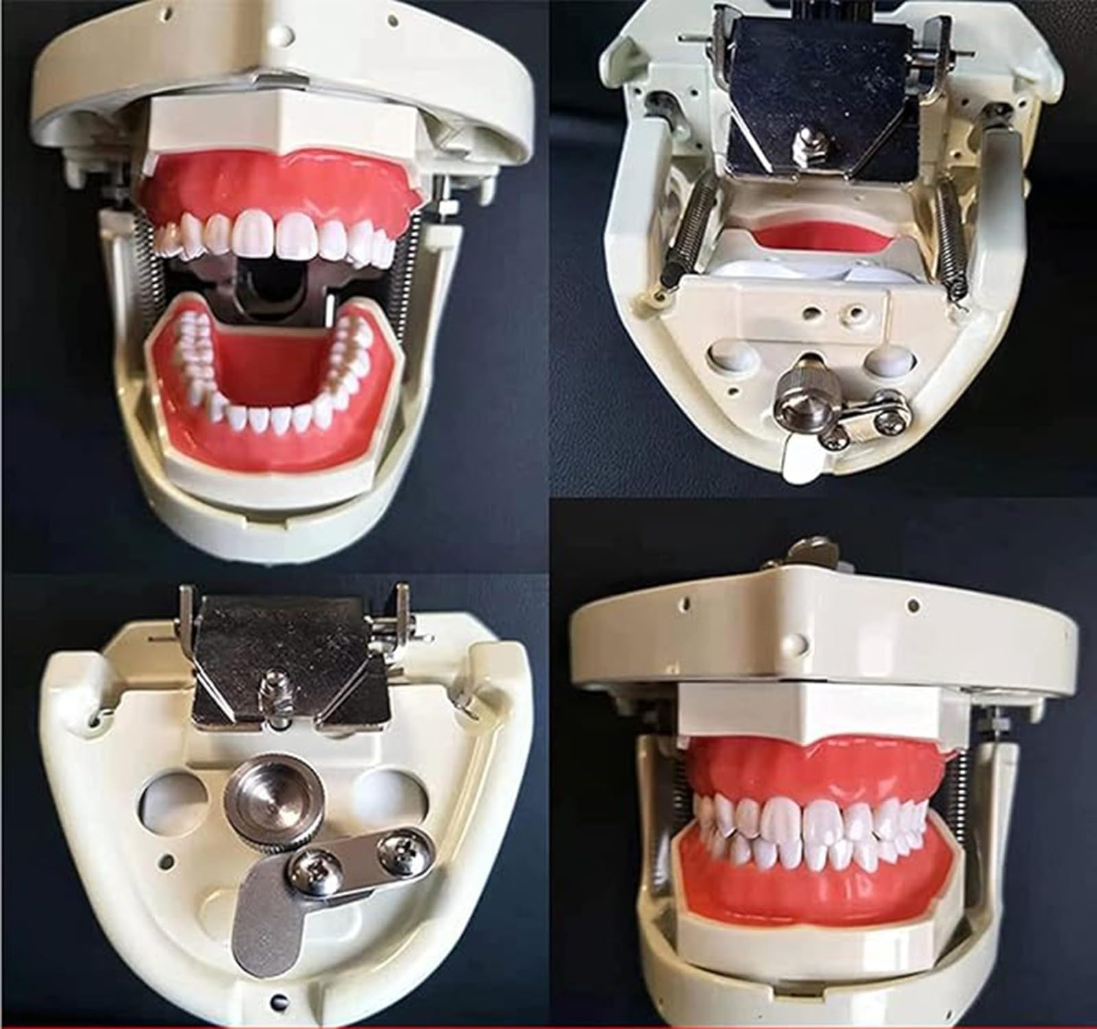 Simulatore di testa di manichino dentale Modello di testa di manichino dentale con supporto da banco per dentisti e assistenti dentali Dimostrazione pratica A