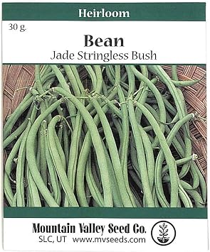 Mountain Valley Seed Co Jade Bush Bean Seeds 30 Gram Non-GMO Heirloom Green