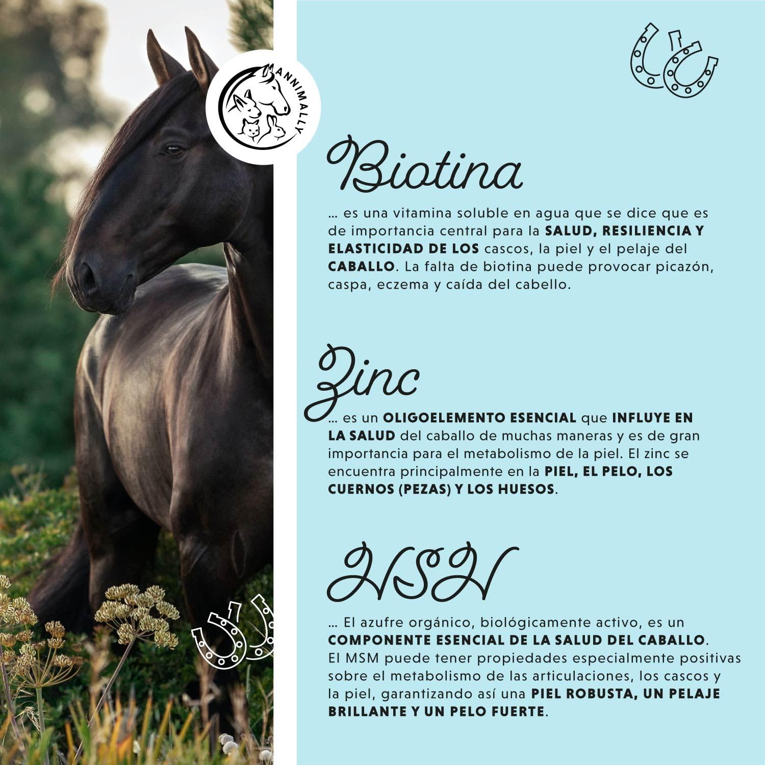 Caballo Biotina Zinc Líquido 1000 ml - Cuidado para la Piel, el Pelaje y los Cascos de los Caballos - Biotina, Zinc y MSM líquidos para un Pelaje Saludable - Cuidado del Pelaje y de los Cascos