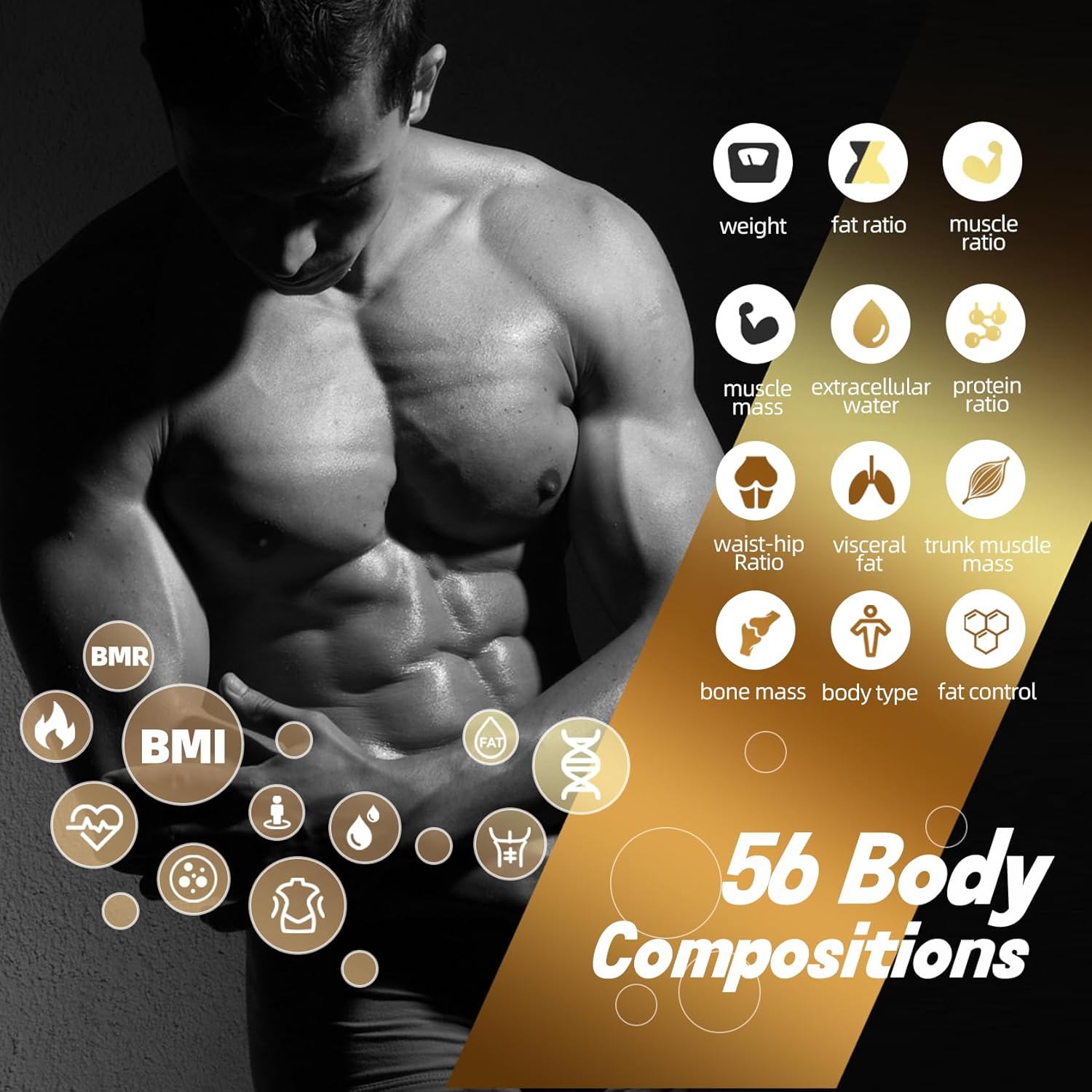 Infographic showing 56 body compositions for a male physique