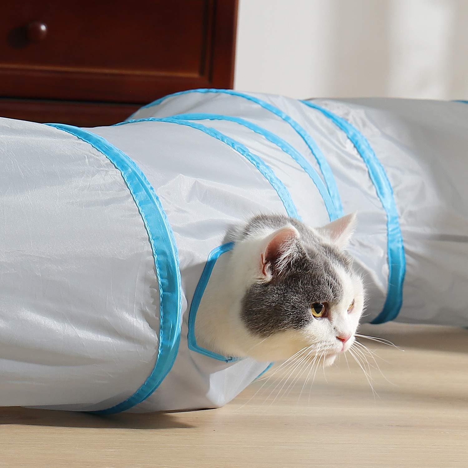 Bemodst Katzen Tunnel – Zusammenklappbar, S-Form, 2/3/4/5-Wege, Mit Knisterpapier, Für Spiel Und Versteck