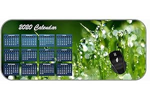 2020 Video Game Calendar