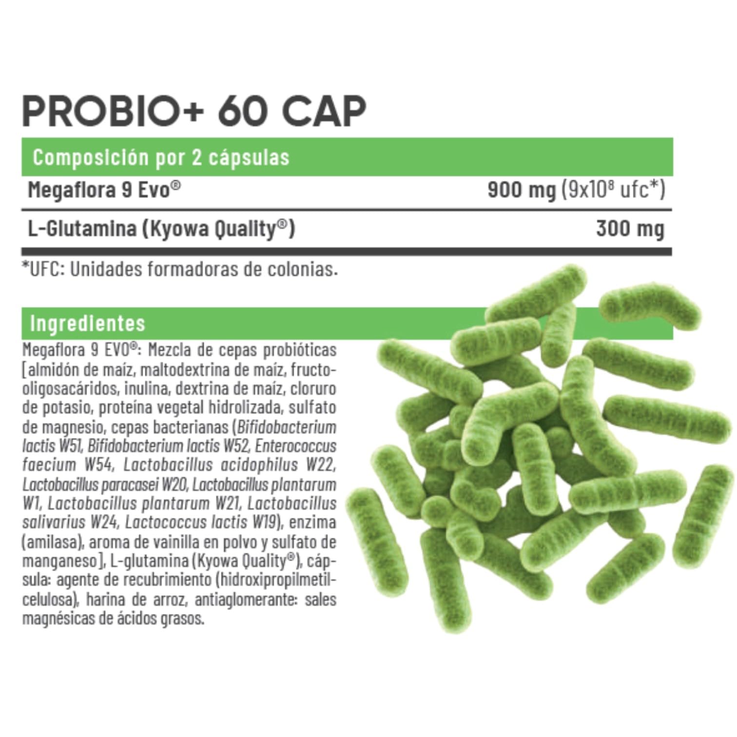 PROBIO+ 60 Cápsulas – Megaflora 9 Evo® + L-Glutamina Kyowa® – Suplemento Probiótico para Flora Intestinal, Digestión y Salud Gastrointestinal