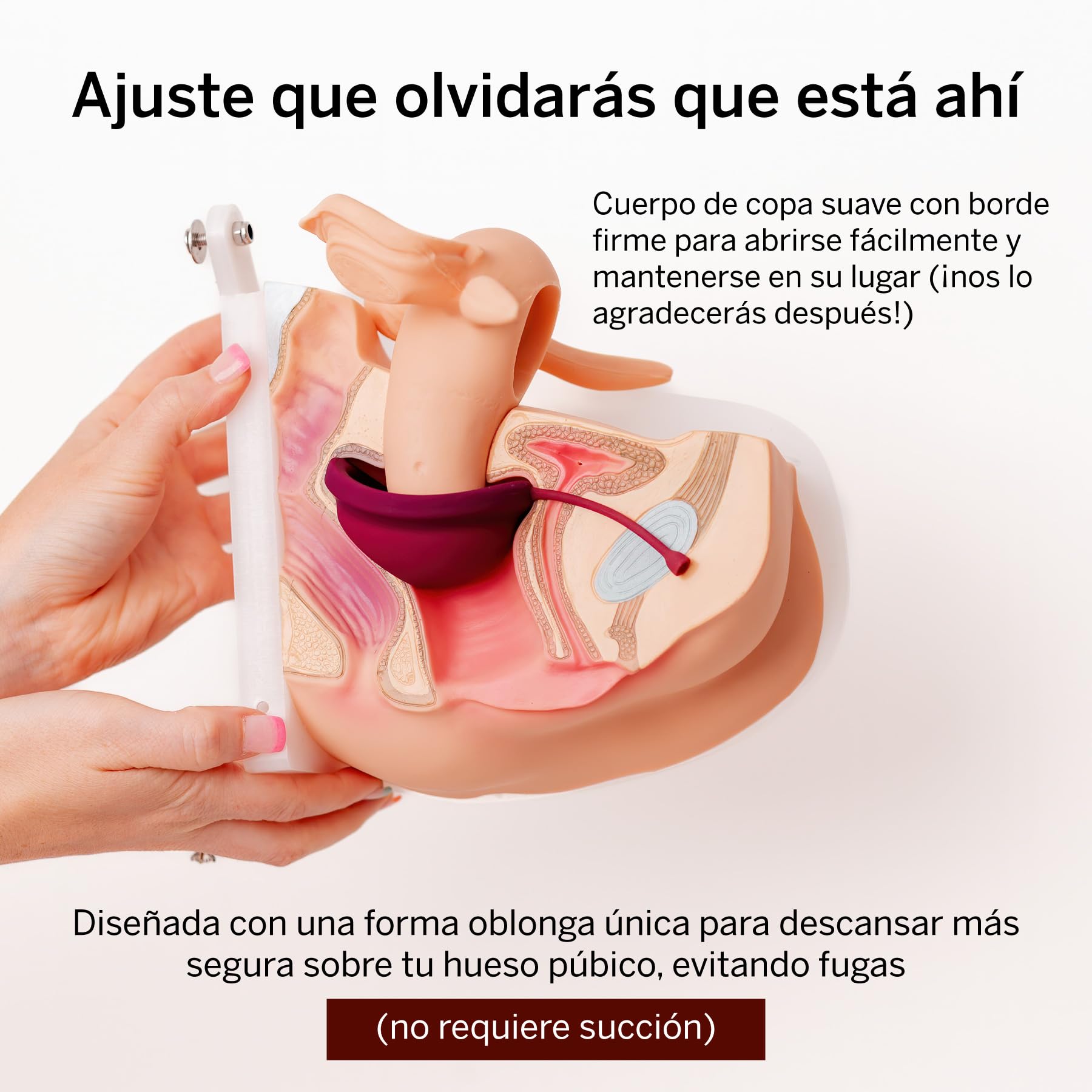 Pixie disco menstrual - Silicona 100% de grado médico - Clasificado n.º1 como el disco reutilizable más suave - Se retira como un tampón - Uso hasta 12 h - Capacidad 7 tampones