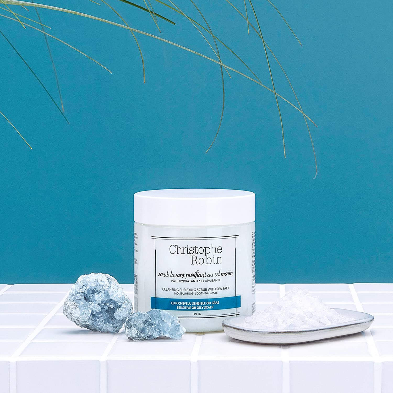 Christophe Robin Cleansing Purifying Scrub with Sea Salt, 2.5 Fl Oz