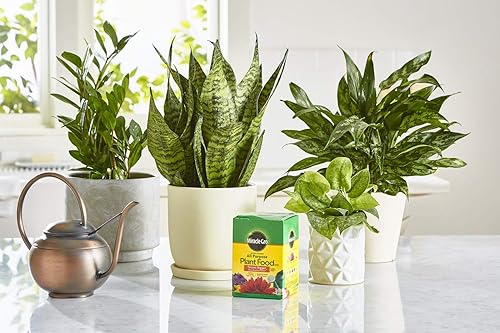 Miniatura 4 de Miracle-Gro 2001123Fertilizante multiusos Plant comida (Pack de 6), 1.5Lb