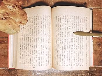 Amazon.co.jp: 初版 小栗虫太郎 完全犯罪 1949年昭和24年