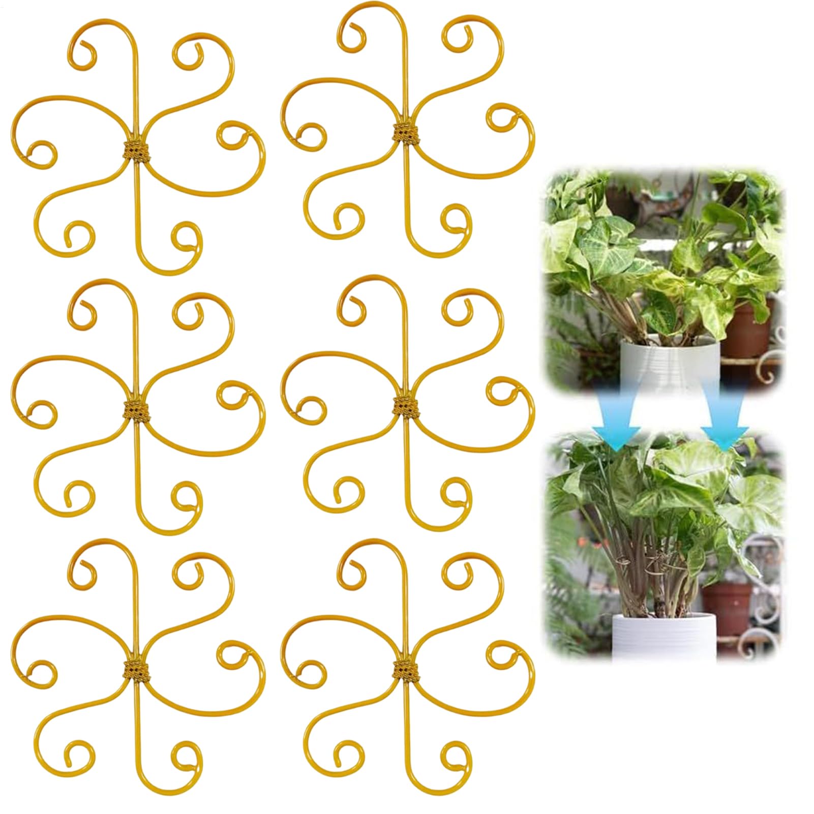 Stabilisateur pour Monstera et plantes de jardin : sublimez votre espace vert intérieur