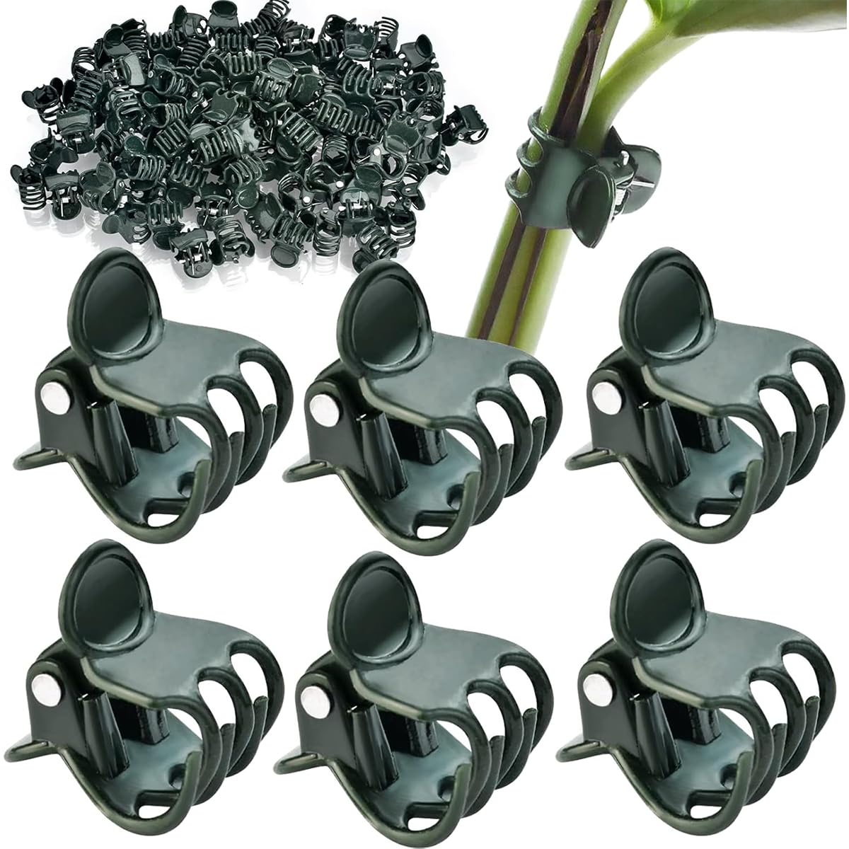 30 Pcs Plant Clips Orchid Clips Plants Orchid Support Clips Flower Vine Clips for Supporting Stems Vines Stalks Climbing Plant Grow Upright-image-29