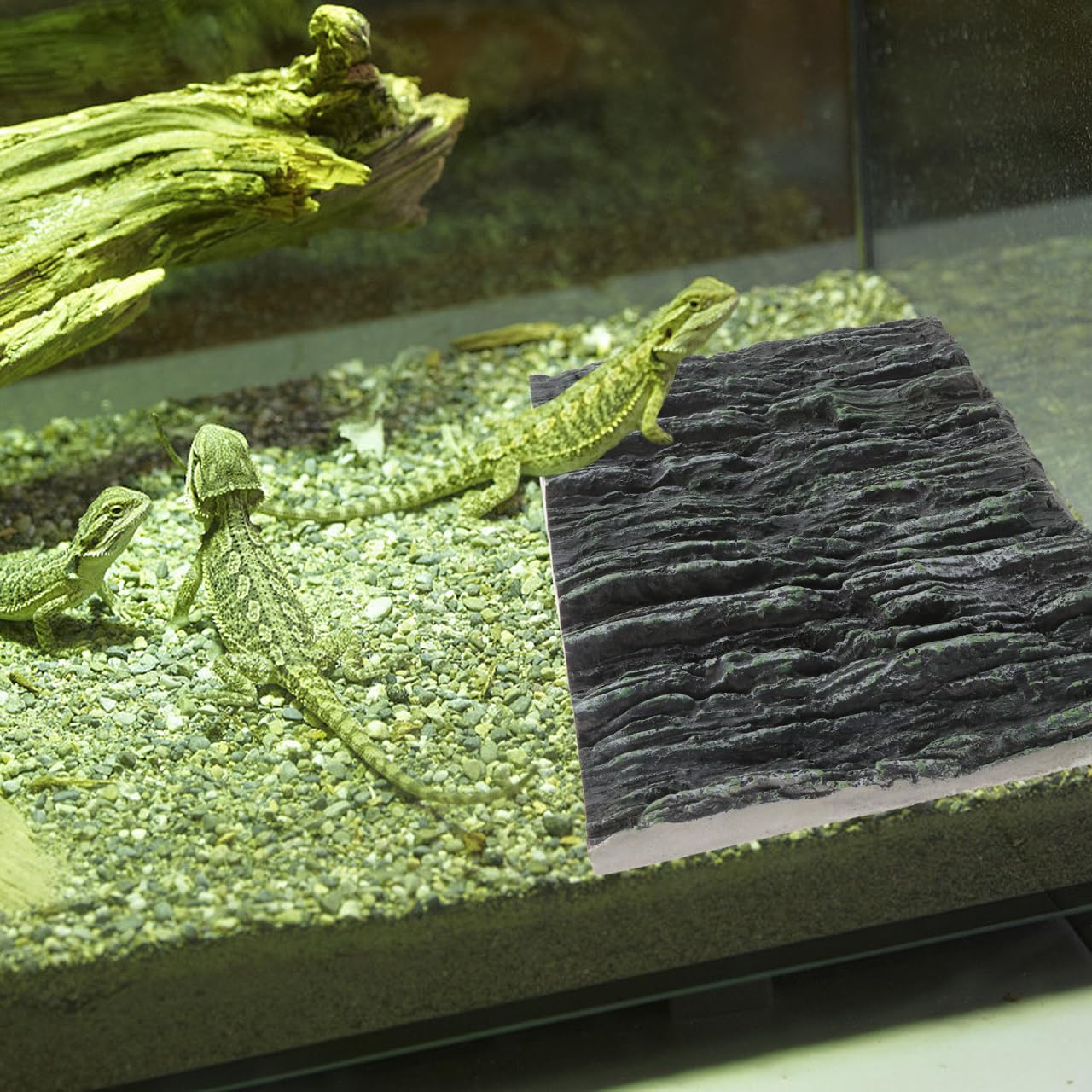 Toddmomy Fish Tank Background Plate - Image 3