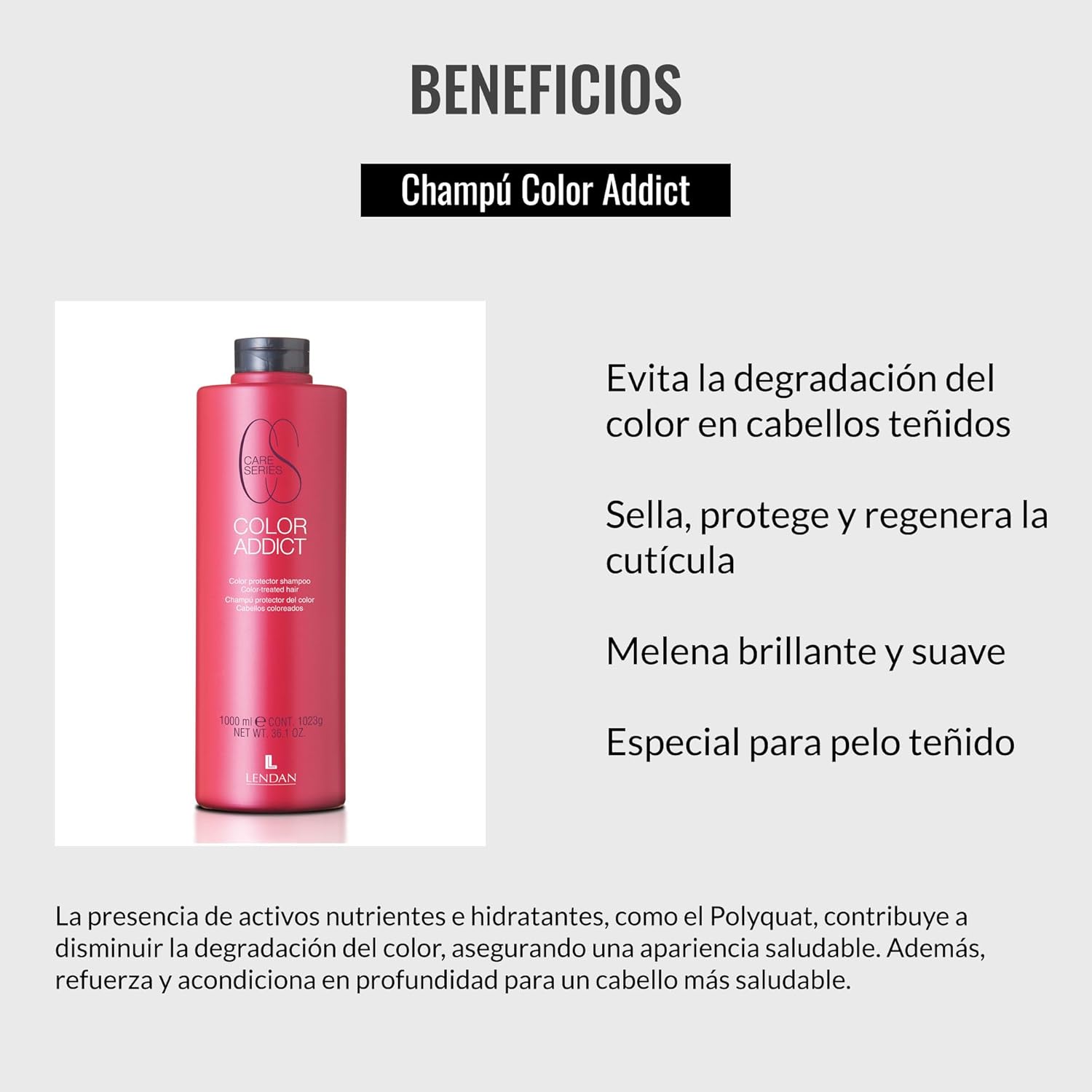 Lendan - Colored Hair Shampoo - Color Addict Shampoo - 1000 ml - Prevents Color Fading in Dyed Hair - Seals, Protects, and Regenerates the Cuticle - Shiny and Soft Hair