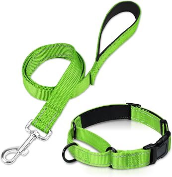 16-20 inches Martingale Dog Collar and 6FT Leash, Reflective Neoprene Padded Pet Collars and Leashes for Medium Dogs