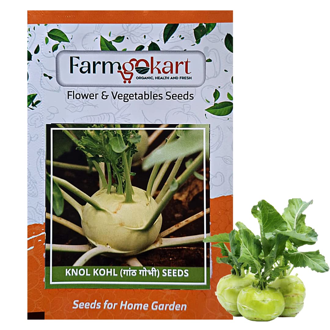 Farmgokart | KNOL -KHOL SEEDS (KOHLRABI, GANTH-GOBHI) (Appx 200 Nos Per Packet) | Best Suitable For Home Gardening | (B09NKWLRCF) Amazon Price History, Amazon Price Tracker