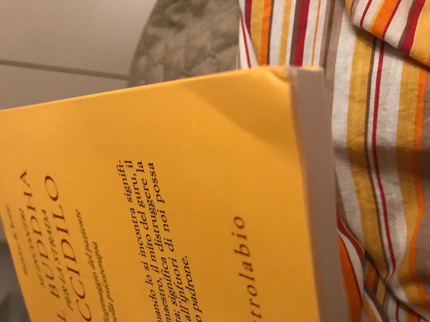 Se incontri il Buddha per la strada uccidilo. Il pellegrinaggio del