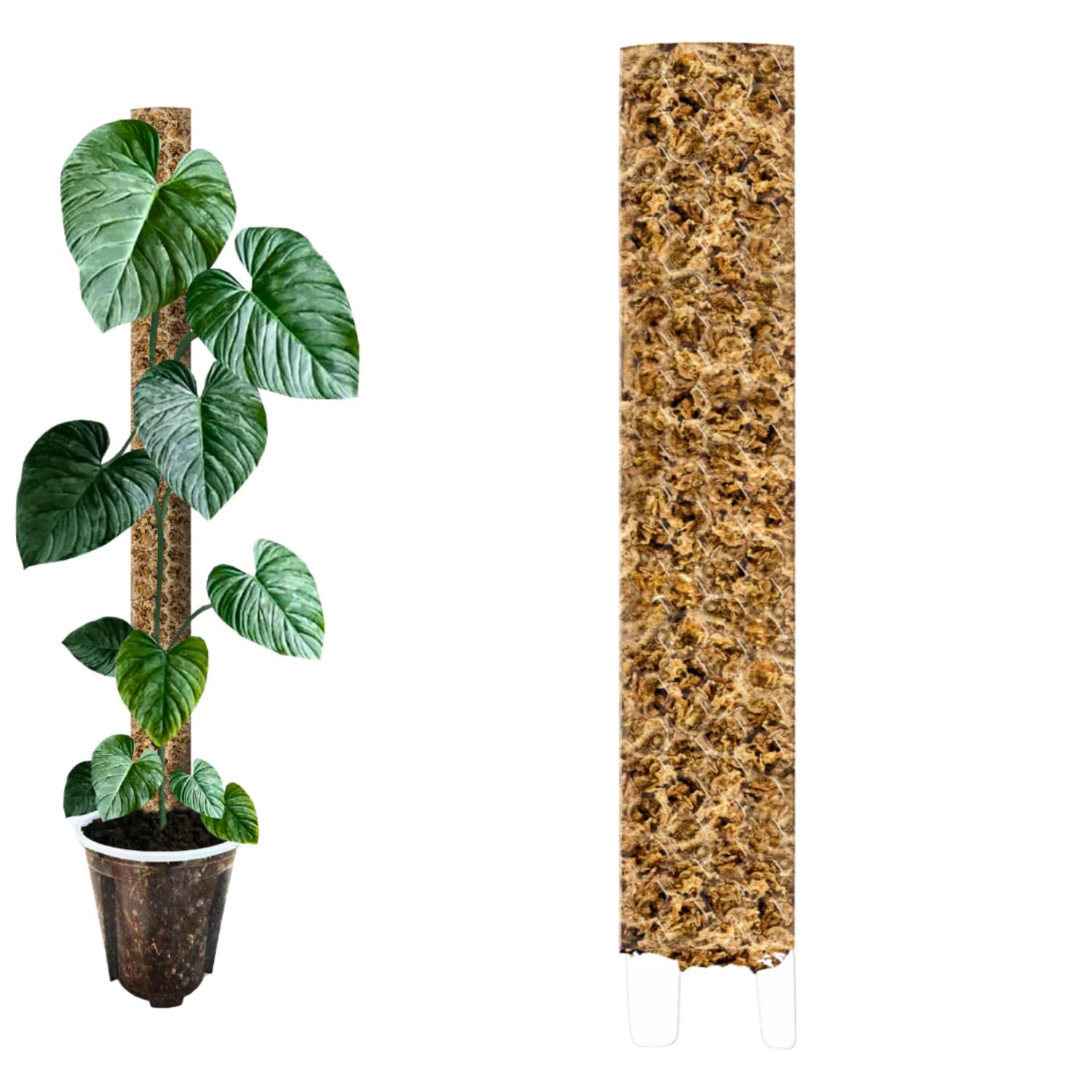 Moosstab 40 cm (L) 10 Stück, Klar – Moss Pole, erweiterbare Rankhilfe für Monstera & Kletterpflanzen, Pflanzenstab für Indoor Pflanzen