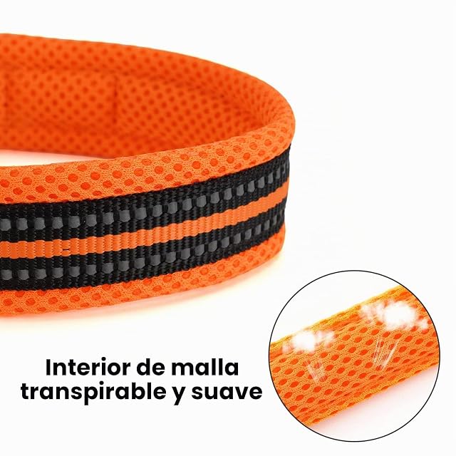 Foto 3 de 7 de PETTOM Correa para Perros Pequeños Grandes Medianos Reflectante Acolchado Suave Cómoda de Usar Evitar…
