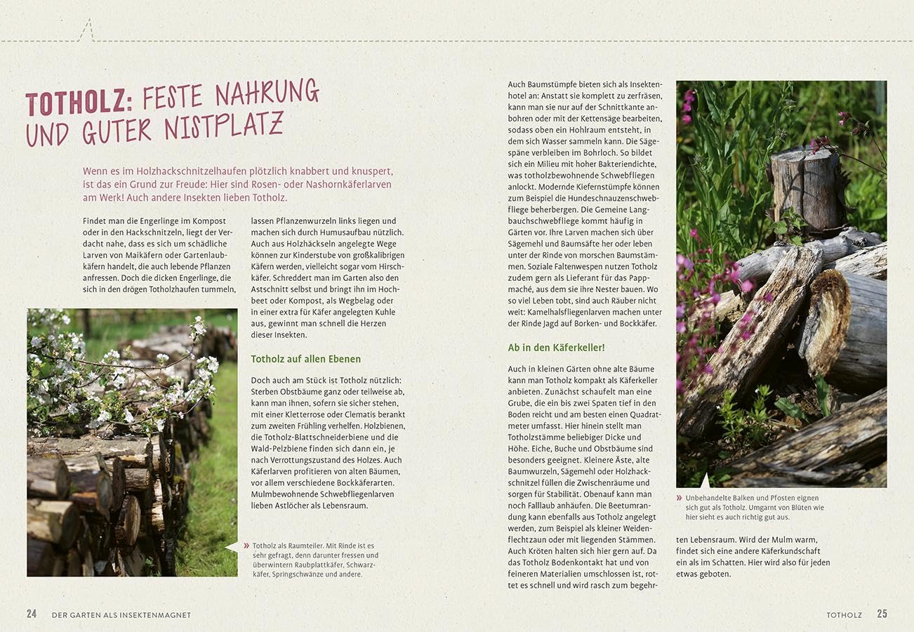 Richtig gute Pflanzen für Insekten: Die besten Blüten für maximal viele Bienen, Schmetterlinge, Schwebfliegen & Käfer im Garten. Mehr Respekt für's Insekt.